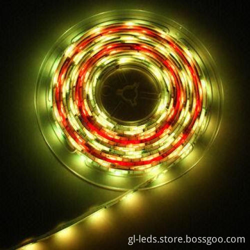 The Latest Product RGB LED Strips with CE and RoHS Marks